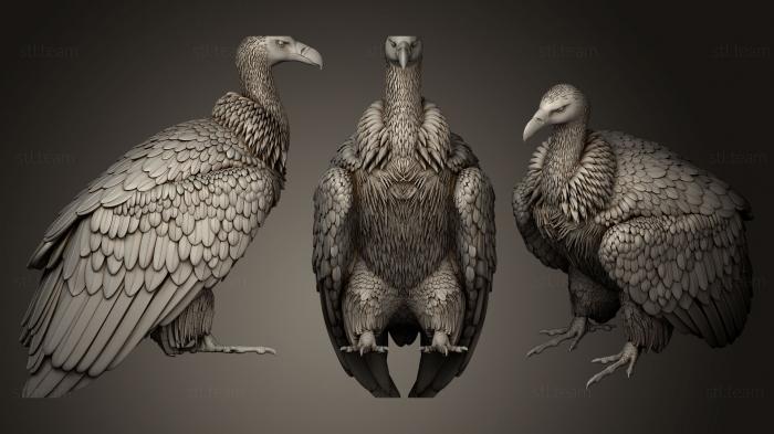 Статуэтки птицы vulture 3